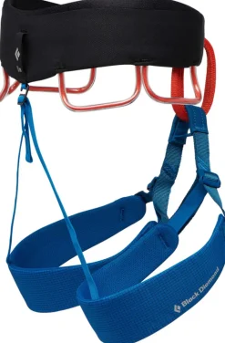 Black Diamond Harnesses-Mens Momentum Harness - Kingfisher