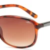 Bloc Eyewear Eyewear-BLOC Bee Sunglasses - Shiny Tortoiseshell-Brown Graduated