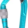 Edelrid Carabiners & Quickdraws-Bulletproof Screw Carabiner - Icemint