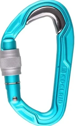 Edelrid Carabiners & Quickdraws-Bulletproof Screw Carabiner - Icemint