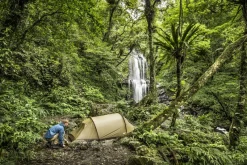 Fjallraven Backpacking & Lightweight Tents-Abisko Lite 3 Tent - Pine Green