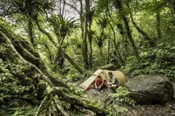 Fjallraven Backpacking & Lightweight Tents-Abisko Lite 2 Tent - Pine Green