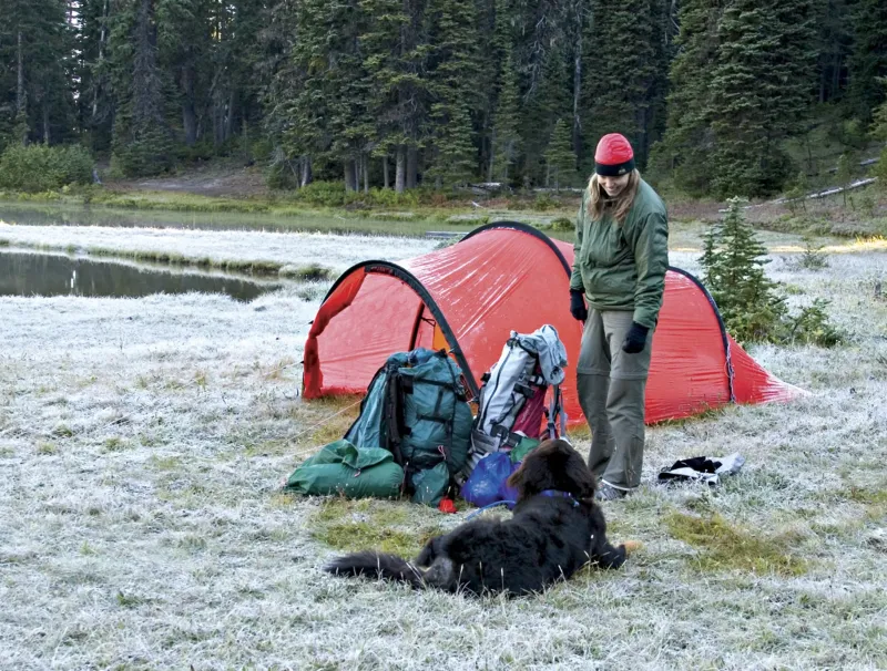 Hilleberg Backpacking & Lightweight Tents-Nallo 3 GT Tent - Sand