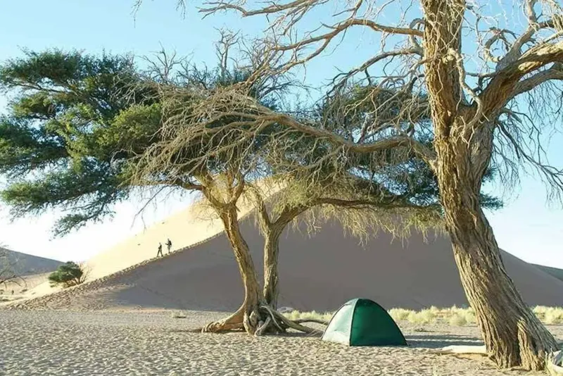 Hilleberg Backpacking & Lightweight Tents-Unna Tent - Green