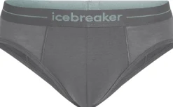 Icebreaker Underwear-Mens Anatomica Briefs - Jet Heather
