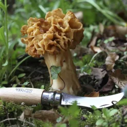 Opinel Knives & Multi-Tools-No.8 Mushroom Knife