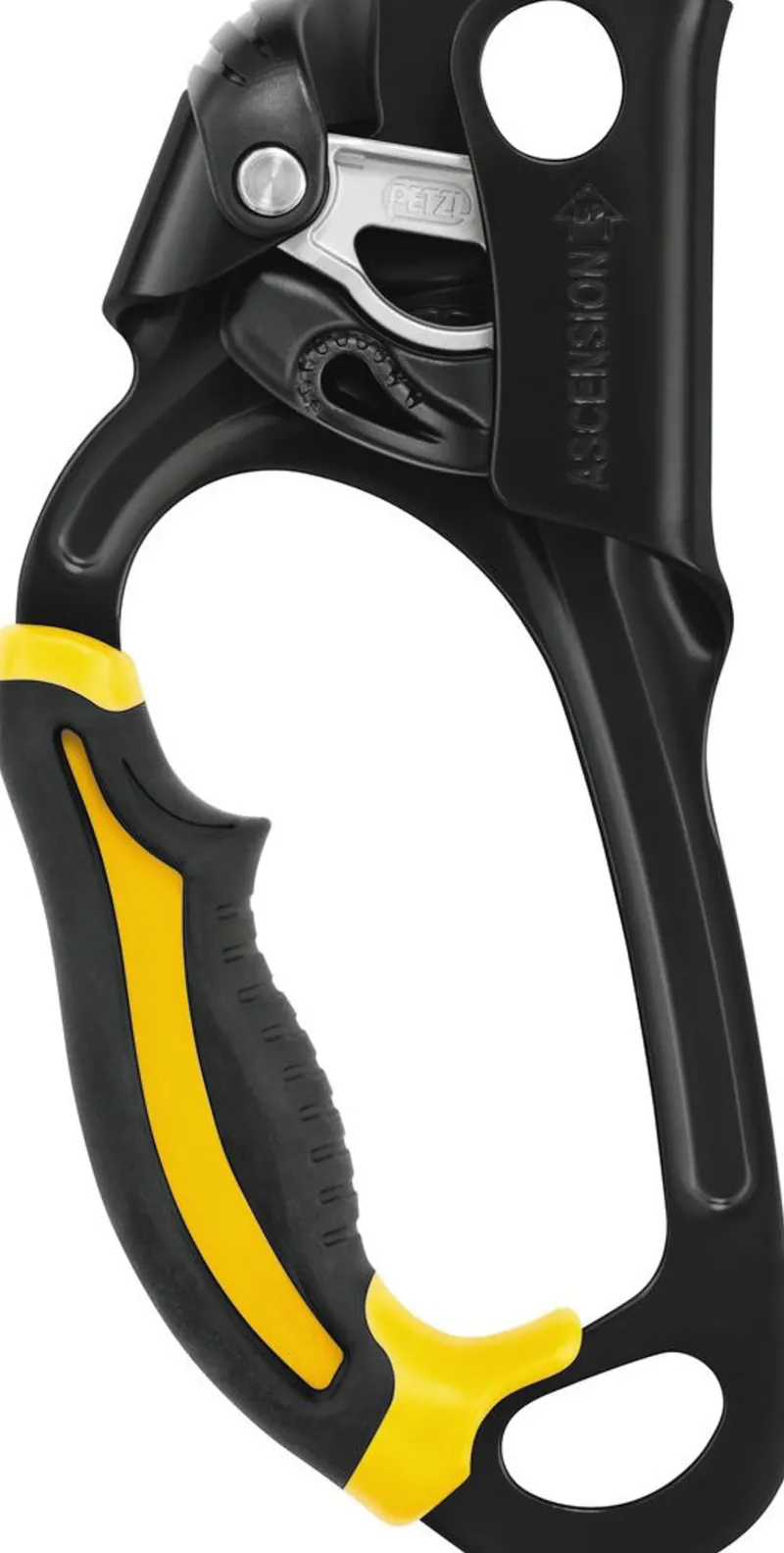 Petzl Belay & Protection-Ascension