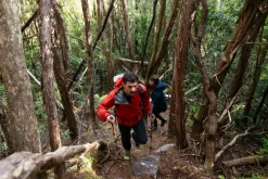 Rab Waterproof Jackets-Mens Firewall Mountain Jacket - Dark Horizon