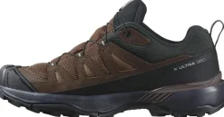Salomon Hiking Shoes & Boots|Walking Shoes-Mens X Ultra 360 LTR GTX Shoes - Dark Earth-Delicioso-Sharkskin