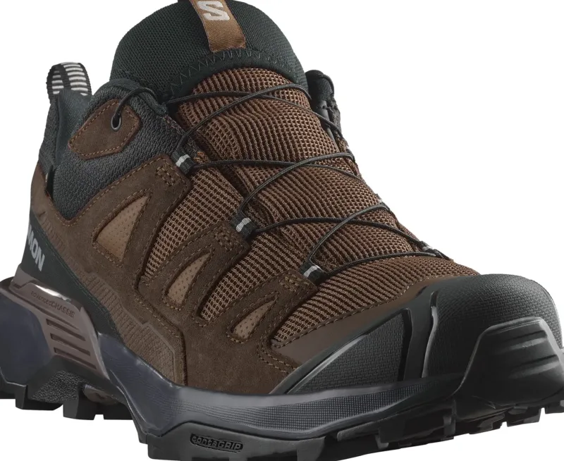 Salomon Hiking Shoes & Boots|Walking Shoes-Mens X Ultra 360 LTR GTX Shoes - Dark Earth-Delicioso-Sharkskin