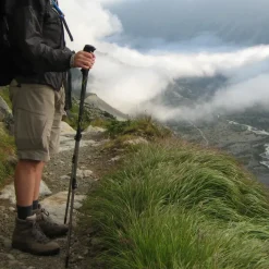 Terra Nova Walking Poles-Trail Lite Trekking Pole