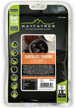 Wayfayrer Dessert-Chocolate Pudding in Chocolate Sauce