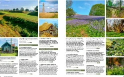 Wildthings Maps And Books-Wild Guide South West England 2