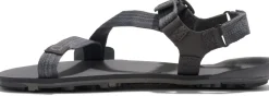 Xero Shoes Hiking Shoes & Boots|Sandals-Mens Z-Trail EV Sandals - Steel Gray-Asphalt